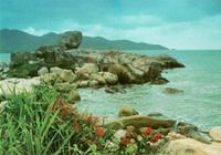 Travelers with The most beautiful beaches of Vietnam